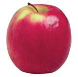MANZANA PINK LADY